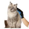 HG Pets Grooming Glove (Blue)