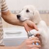 Dog Nail Clippers Pet/Toe Trimmer Stainless Steel Grooming Tool Free Nail File Small Medium Large Dogs