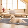 2Pcs Washable Pet Pee Pads For Puppy Kittens Dogs Reusable Potty Mats Machine Washable Pet Training Pads Non-Slip Waterproof Absorbent Dog Crate